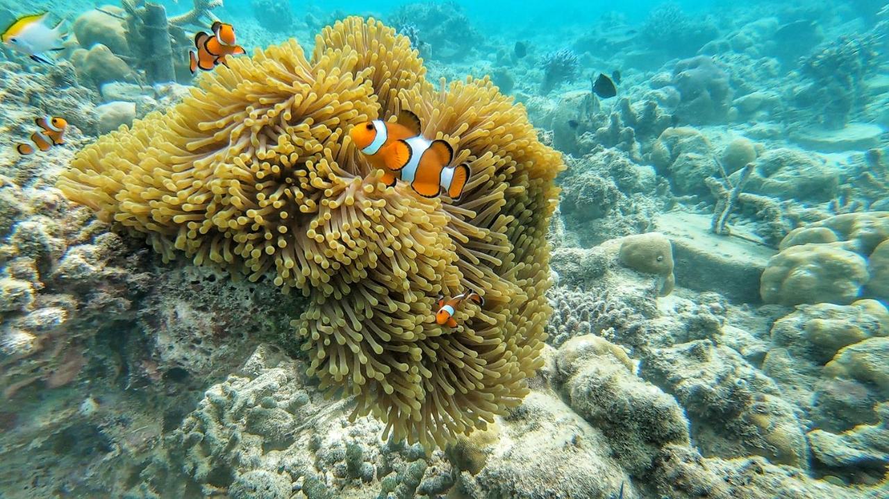 Kimo Resort Pulau Banyak Aceh Singkil Alaban 外观 照片